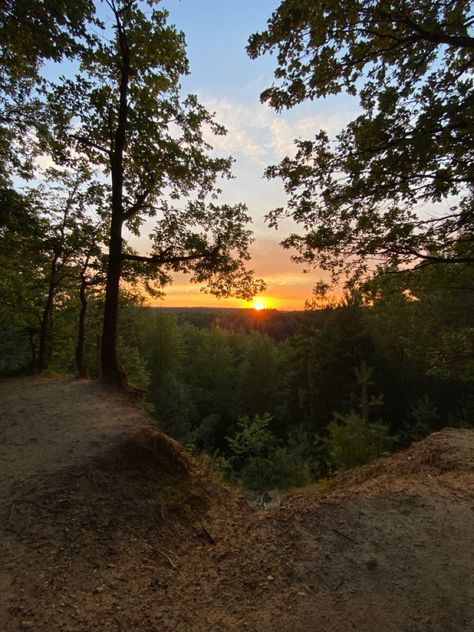 Sunset forest wallpaper Sunset In A Forest, Sunset Forest Wallpaper, Sunset Forest Aesthetic, Sunset Woods, Sunset In The Forest, Random Vibes, Green Nature Wallpaper, Sunset Pic, Sunrise Wallpaper