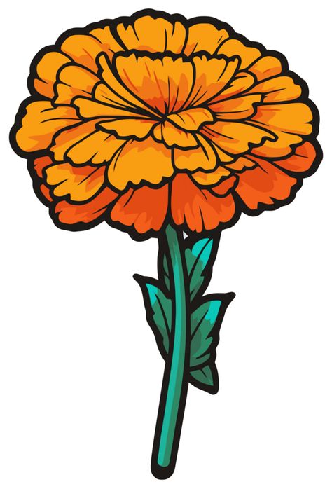 Marigold Clipart, Flower Illustrations, Marigold Flower, Plant Wallpaper, Cityscape Photos, Logo Banners, Nature Backgrounds, Heart With Arrow, Flower Illustration