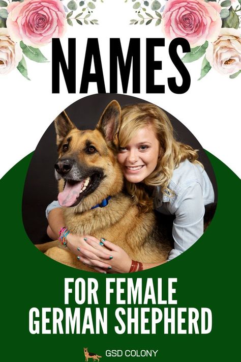 260+ Names for German Shepherd dog by GSD Colony Female Name Ideas, German Shepherd Female, Female German Shepherd, German Shepherd Names, Dog Personality, Female Names, Name Ideas, German Shepherd Dog, German Shepherd Dogs