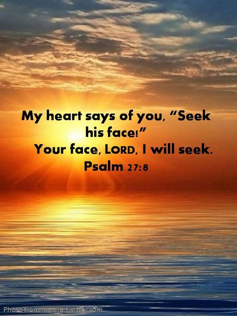 Seek God's face and experience the Holiness and splendor of His Grace and Mercy. Psalm 27 8, Publication Inspiration, Famous Bible Quotes, Poster Quotes, Christian Post, Psalm 27, Favorite Scriptures, Awesome God, Blessed Life