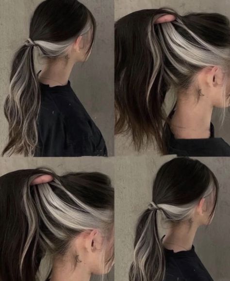 Brown And Silver Hair, White Streak In Hair, Winter Hair Colour For Blondes, Light Ash Brown Hair, Highlights White, Skunk Hair, Underlights Hair, Highlights Curly Hair, White Hair Color