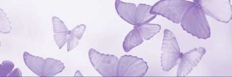 Violet Header Aesthetic, Purple Banners Aesthetic, Lilac Discord Banner, Banners For Discord Purple, Pastel Purple Aesthetic Header, Violet Aesthetic Header, Purple Notion Header, Purple Banner Aesthetic, Lavender Header