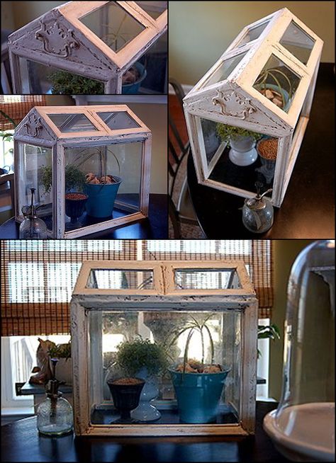 DIY TERRARIUM :: Upcycled Frame into a Wardian Case Tutorial :: She explains how she put together this beauty! | #frames #repurpose #terrarium #theupcycler #upcycle #wardiancase Wardian Case Terrariums, Picture Frame Terrarium, Terrariums Diy, Wardian Case, Craft Cafe, Miniature Orchids, Diy Terrarium, Terrarium Containers, Old Lights