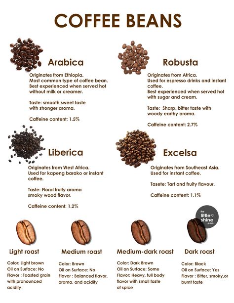 TYPES OF COFFEE BEANS Barista Photography, Fmcg Products, Coffee Knowledge, Starting A Coffee Shop, Types Of Coffee Beans, Coffee Infographic, Coffee Origin, Types Of Coffee, Coffee Latte Art