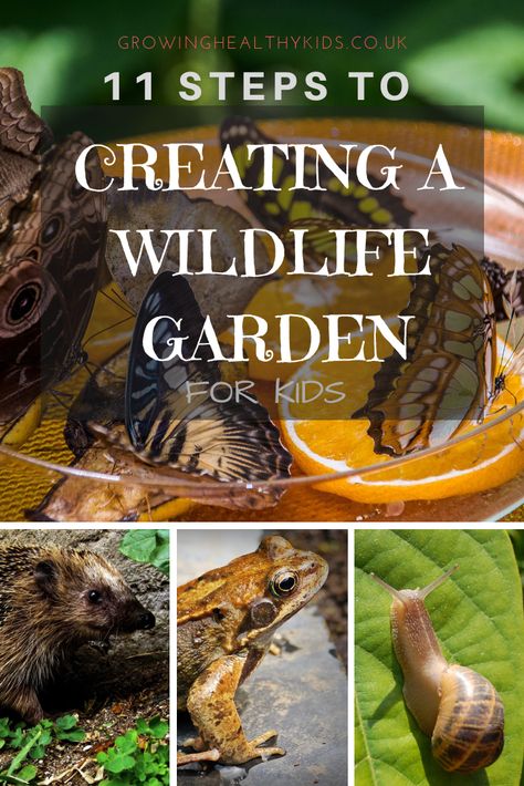 Attracting wildlife Wildlife Habitat Projects, Animal Friendly Garden, Nature Garden Ideas, Wildlife Projects, Garden For Kids, Spring Coming, Wildlife Garden, Natural Playground, 5 De Mayo