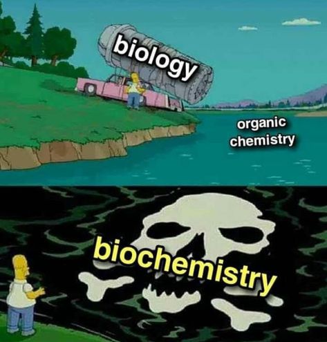 Biology Jokes, Biology Memes, Chemistry Puns, Biology Humor, Nerdy Jokes, Studying Memes, Science Puns, Nerd Jokes, Chemistry Jokes