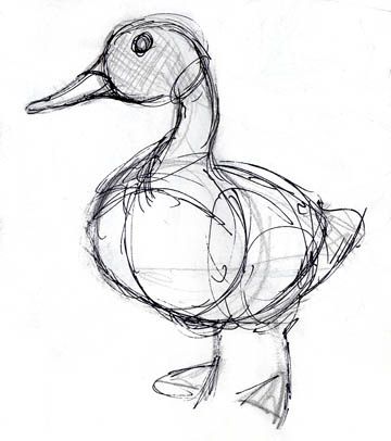 duck Duck Drawing, Animal Drawings Sketches, Duck Art, A Duck, Arte Inspo, Animal Sketches, Bird Drawings, Art Tutorial, Art Tutorials Drawing