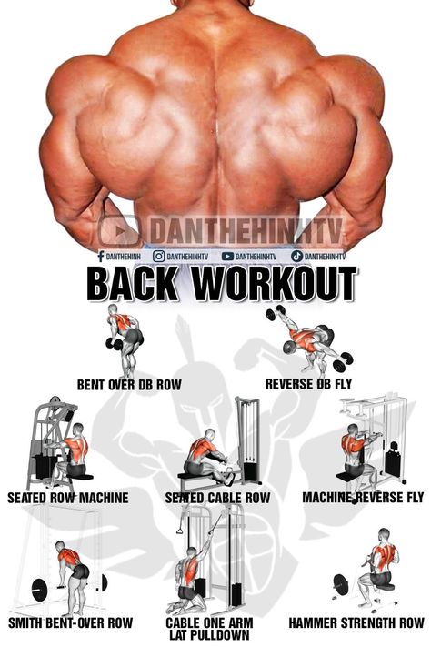 Back Abs Workout, Back Rows, Back Workout Bodybuilding, Back Workout Men, Gym Back Workout, Back Workout Routine, Gym Back, Workout Back, Workout Man