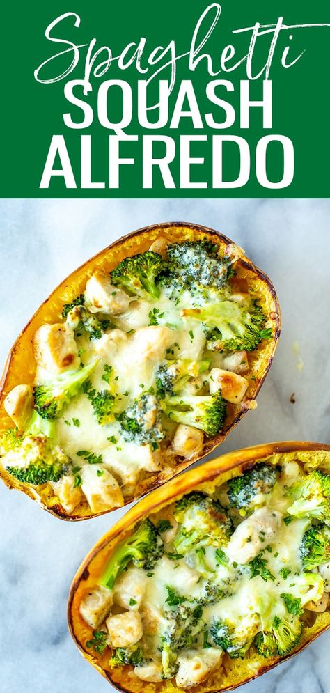 Spaghetti Squash Alfredo, Squash Alfredo, Spaghetti Squash Recipes Healthy, Stuffed Squash, Spaghetti Squash Recipes, Alfredo Recipe, Perfect Pasta, Meal Prep Bowls, Squash Recipes