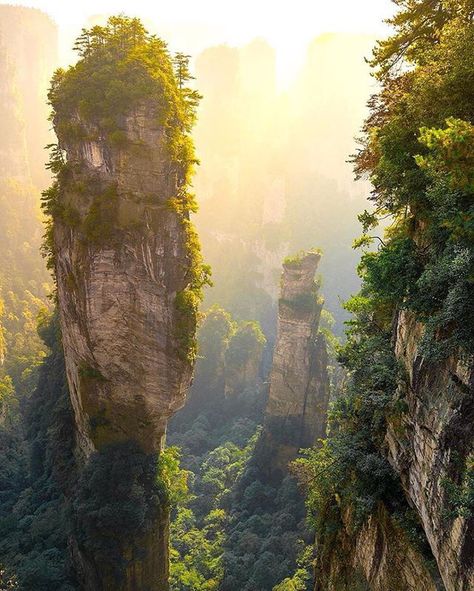 Tall stone towers in Zhangjiajie National Forest Park, China. Zhangjiajie National Forest Park, Zhangjiajie, Picture Places, Earth Pictures, Park Photography, Destination Voyage, Forest Park, Rock Formations, National Forest