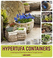 How to Make Hypertufa Containers for Succulents | World of Succulents Trough Garden, Philadelphia Flower Show, Alpine Plants, Peat Moss, Unique Gardens, Cleaners Homemade, Diy Garden Projects, Diy Planters, Garden Spaces