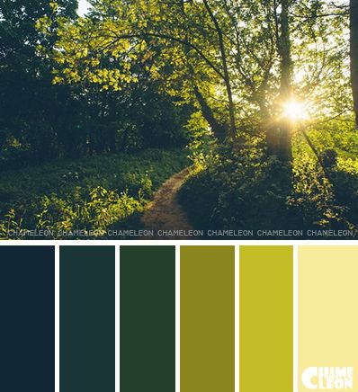 Solarpunk Color Palette, Infographic Color Palette, Forest Inspired Bedroom, Green Wall Ideas, Color Thesaurus, Sunny Forest, Forest Stream, Solar Punk, Color Schemes Colour Palettes