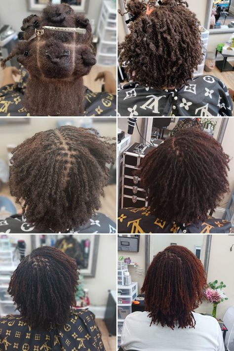 Frizzy Microlocs, Microlocs Before And After, Small Microlocs, Microlocs With Color, Microbraid Locs, Starter Microlocs Hairstyles, Beginning Microlocs, 300 Microlocs, Microlocs Starter Short