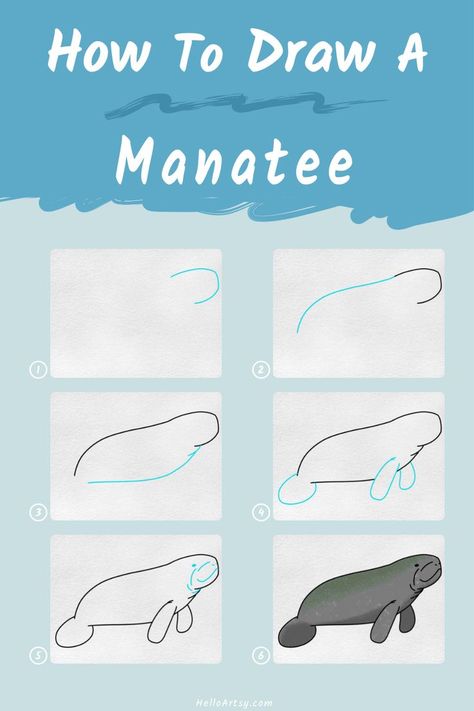 6 steps demonstrating how to draw a manatee drawing for kids. Manatee Rock Painting, How To Draw A Manatee, Manatee Painting Easy, Manatee Drawing, Manatee Painting, Ocean Drawings, Manatee Art, Work Hat, Ocean Drawing