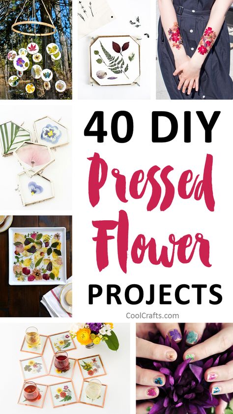 We compiled a list of 40 DIY pressed flower ideas for you to make. If you love beautiful flowers, then this pressed flowers roundup will inspire you. Flower Art Ideas, Dried Flowers Crafts, Pressed Flowers Diy, Flower Projects, Cuadros Diy, Pressed Flower Crafts, Fleurs Diy, Dried And Pressed Flowers, Pressed Flower Art