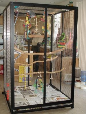 Large indoor cage Bird Cage Ideas, Aviary Ideas, Diy Bird Cage, Parrot Care, Bird Room, Pet Bird Cage, Large Bird Cages, Bird House Kits, Birds Parrots