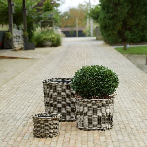 Anthropologie's Sister Brand, Terrain, Has Us Hooked With Its Summer-Ready Outdoor Planters Used Outdoor Furniture, Wicker Planter, Leafy Plants, Wood Plant Stand, Herb Pots, Outdoor Furniture Cushions, Small Planter, Large Planters, Outdoor Wicker