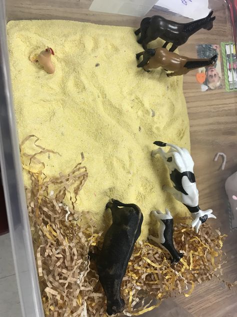 My Farm Animals Sensory Bin Farm Animals Sensory Bin, Farm Animal Sensory Bin, Animals Sensory Bin, Animal Sensory Bin, Sensory Bin, Sensory Bins, Farm Animal, Farm Animals, Rodeo