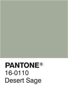 Design Color Trends, Pantone Palette, Pantone Colour Palettes, Desert Sage, Wall Colour, Kitchen Wall Colors, Sage Green Wedding, Sage Color, Bath Room