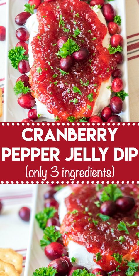 Cranberry Pepper Jelly Dip, everyone's favorite holiday appetizer Cranberry Pepper Jelly, Pepper Jelly Dip, Red Pepper Jelly, Canned Cranberry Sauce, Festive Appetizers, Cranberry Sauce Homemade, Pepper Jelly, Quick Appetizers, Cranberry Recipes