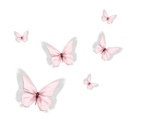 Kosmetyki Mary Kay, Butterfly Wallpaper Iphone, Butterfly Drawing, Butterfly Kisses, Flower Background Wallpaper, Iphone Background Wallpaper, Simple Wallpapers, Butterfly Wallpaper, Instagram Highlight Icons