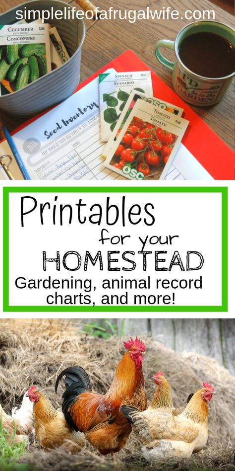 Homestead Kitchen Organization, Homesteading Printables, Homestead Binder Free Printable, Homesteading Binder, Homestead Binder, 5 Acre Homestead Layout, Annual Homestead Schedule, Homestead Organization, Homestead Record Keeping Free Printable