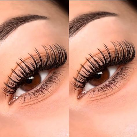 Lash Extensions Volume, Classic Lash Extensions, Types Of Eyelash Extensions, Extension Lashes, Eye Lash Extensions, Lash Lounge, Individual Lash Extensions, Mink Lash Extensions, Eyelash Extensions Styles