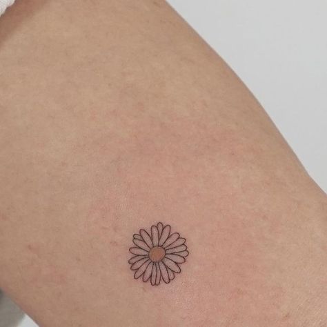 Outline Daisy Tattoo, Dainty Daisy Tattoo Simple, Daisy And Lily Tattoo, Small Daisy Flower Tattoos, Daisy Finger Tattoo, Tattoo Daisy Flower, Daisy Fine Line Tattoo, Small Tattoos Flower, Dainty Daisy Tattoo