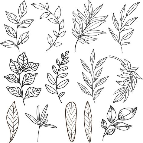 Foliage Drawing, Doodle Flowers, Drawing Pattern, Drawing Vector, Leaf Drawing, Floral Drawing, Leaves Design, Leaves Vector, Hand Drawn Flowers