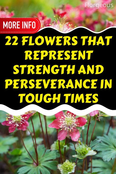 Flowers That Represent Strength Glimmer Of Hope, Beauty Of Flowers, Best Flowers, Flower Meanings, Challenging Times, Different Flowers, Tough Times, Flower Beauty, Amazing Flowers