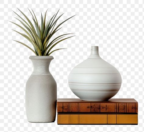 Home Decor Png, Vase Png, Plant Png, Nature Background, Home Decor Products, Plant Vase, House Decorations, Vase Arrangements, Wooden Background