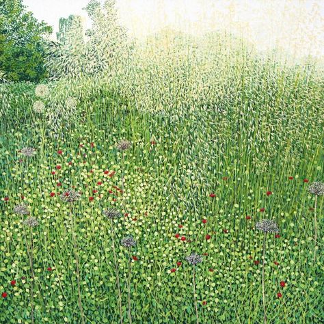 Limited edition prints – Susan Entwistle Grass Illustration, Garden Painting, Square Art, White Slip, Limited Edition Art Print, Limited Edition Art, Image Frame, Art Plastique, Limited Edition Prints