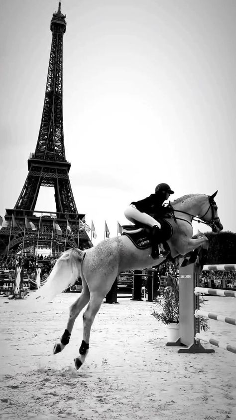 Equestrian Jumping, Horsey Life, Foto Cowgirl, Horse Riding Quotes, Show Jumping Horses, Horse Riding Outfit, Horse Riding Equestrian, English Horse, Beautiful Ocean Pictures