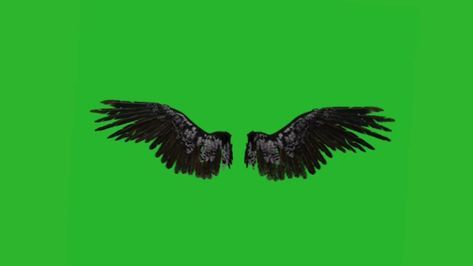 Green Screen Animation, Angel Wings Illustration, Star Overlays, Green Screen Footage, Free Green Screen, Picture Editing Apps, Overlays Cute, Logo Design Video, Green Background Video