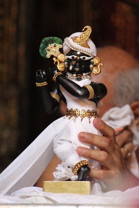 Sri Radha Raman ji, Vrindavan. One of my favorite photos. Radharaman Ji, Radha Raman Ji, Sacred Forest, Puja Decor, Trees In The Forest, Radha Raman, Iskcon Krishna, Spiritual Sayings, Laddu Gopal Dresses