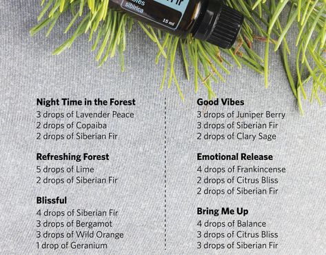 Siberian Fir Diffuser Blends, Fur Oil, Siberian Fir, Doterra Business, Essential Oil Diffuser Blends Recipes, Essential Oil Blends Recipes, Wild Orange, Essential Oil Diffuser Blends, Doterra Oils