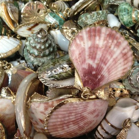 Shells gold Shells Aesthetic, Beautiful Shells, Image Swag, Mermaid Aesthetic, Summer Dream, Beach Aesthetic, Beach Vibe, الرسومات اللطيفة, Aphrodite