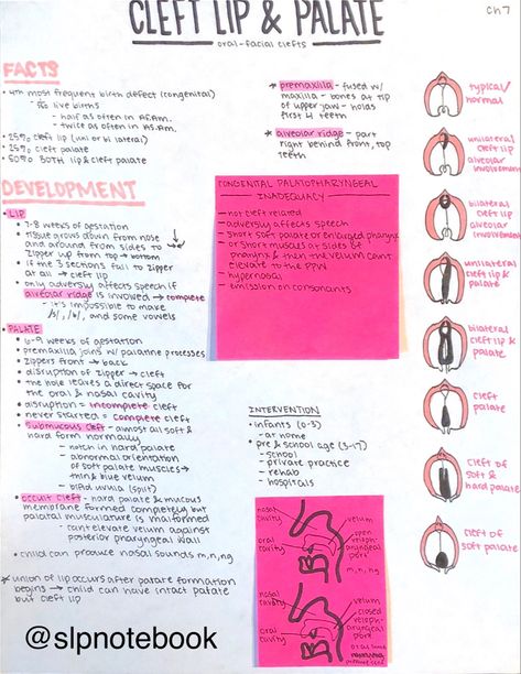 Voice Disorders Speech Therapy, Slp Praxis Cheat Sheets, Slp Praxis Study Guide, Speech Language Pathology Aesthetic, Speech Pathology Aesthetic, Slp Praxis, Speech Sound Development Chart, Slp Aesthetic, Speech Language Pathology Grad School