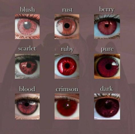 Red Eye Color, Rare Eye Colors, Woman Eyes, Eye Color Chart, Rare Eyes, Raw Vegan Diet, Eyes Color, Color Aesthetic, Clothing Sketches