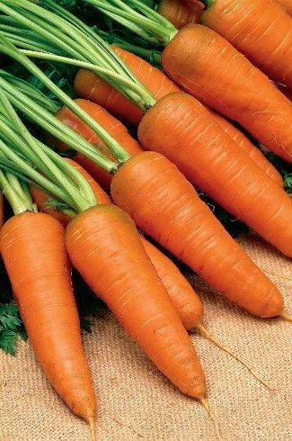 Fruits And Vegetables Images, Fruits And Vegetables Pictures, Carrot Vegetable, Soil Types, Vegetables Photography, Vegetable Pictures, Veggie Patch, Fruit Photography, Beautiful Fruits