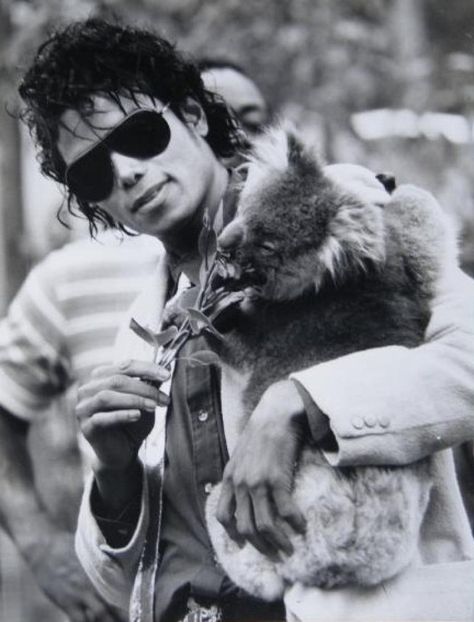 Michael cuddling a koala and feeding it eucalyptus leaves in Perth during the Telethon – 1985 Hee Man, Michael Jackson Rare, Photos Of Michael Jackson, Michael Jackson Smile, Joseph Jackson, Michael Jackson Bad, Michael Jackson Pics, King Of Pop, Paris Jackson