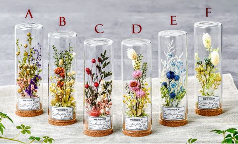 Herbarium Bottle Diy, Japanese Herbarium, Herbarium Bottle, Cloche Decor, Plants In Bottles, Geometric Origami, Tiny Jars, Fleurs Diy, Flower Decorations Diy