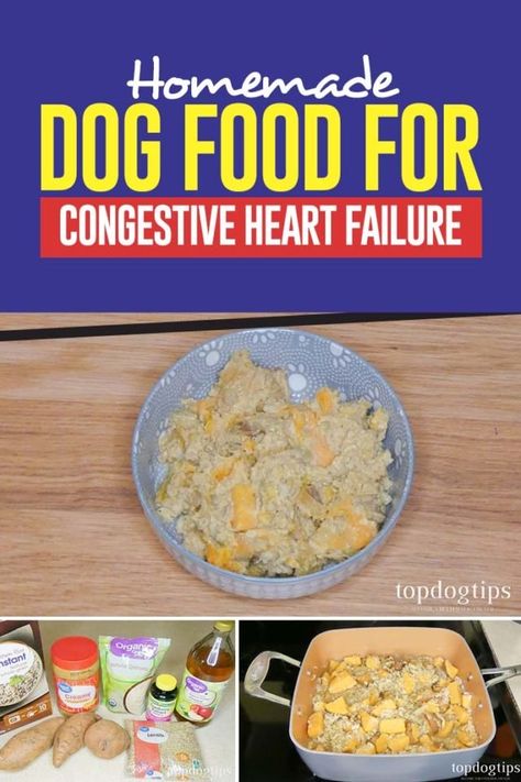 Homemade Dog Food for Congestive Heart Failure Recipe Food For Heart, Dog Food Recipe, Diy Dog Food, Make Dog Food, Raw Dog Food Recipes, Heart Food, Dog Diet, Healthy Dog Food Recipes, Best Dog Food