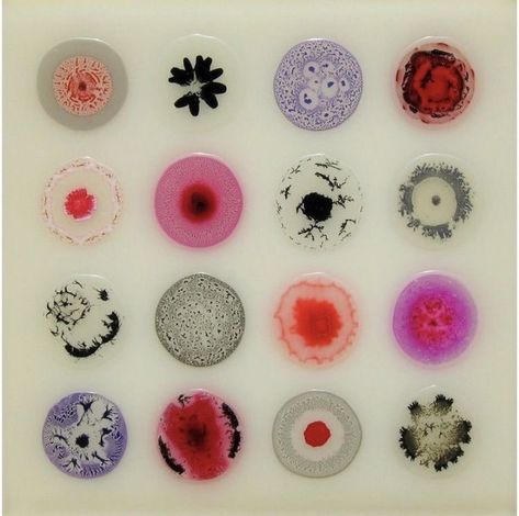 Cells Artwork, Textile Book, Glue Painting, Bio Art, Petri Dish, Color Abstract, Bubble Art, Art Folder, Deja Vu