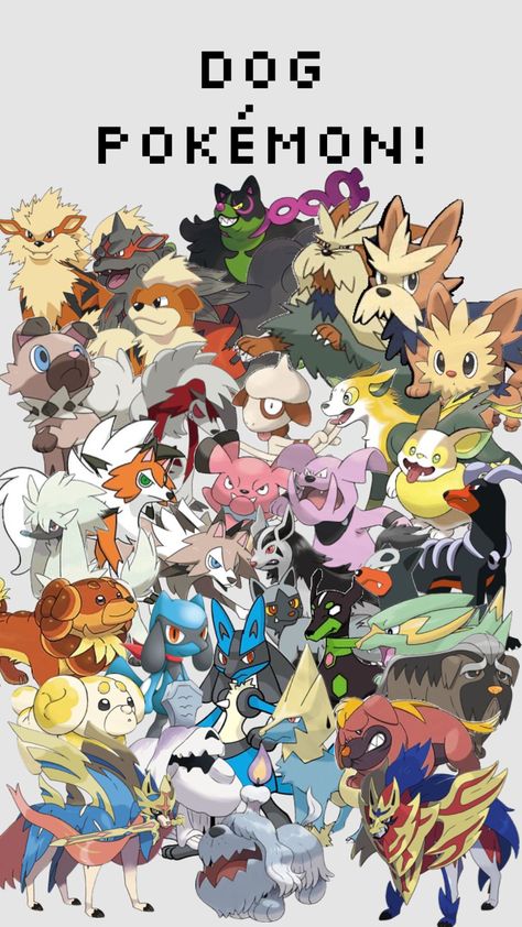 Dog Pokémon! #pokemon #dogs Dog Pokemon, Pokemon Party, New Pokemon, Aesthetic Images, Cute Pokemon, Pokemon Art, Clay Crafts, Your Aesthetic, Connect With People