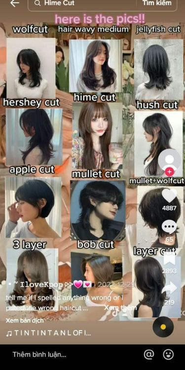 Names Of Haircuts For Women, Names Of Short Haircuts For Women, Different Kinds Of Haircuts For Women, Types Of Hair Cuts Women, Haïr Cut Name For Women, Hairstyle Names For Women, Hair Cut Ideas 2024 Medium Hair, Haircut With Names, Haircut Types For Women