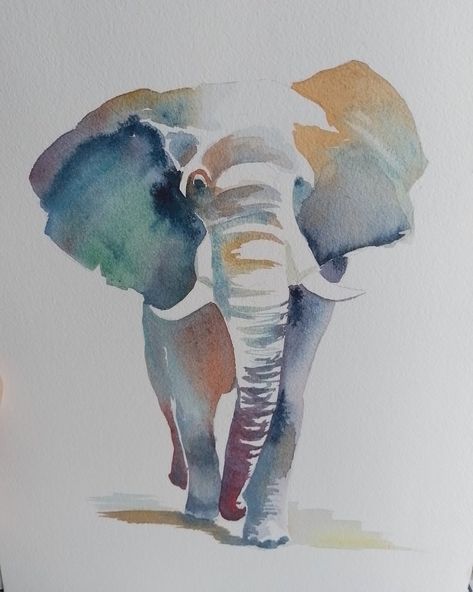 Summer Elephant Professional Watercolour 2024 Size A4 Watercolour Inspiration Animals, Cute Things To Watercolor, Watercolor Art Elephant, Water Colour Animals, Watercolor Tricks, Elephant Drawing Colorful, Water Animals Art, Elephants Watercolor, Aquarelle Ideas