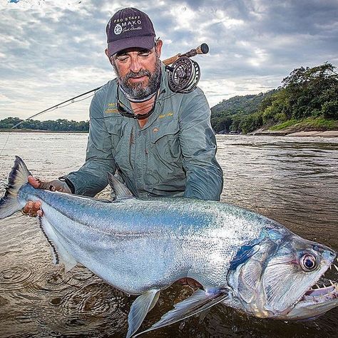 Photo shared by Matt Harris on September 16, 2022 tagging @officialmauijim, @fishcolombia, @orinocoflies, @rioproducts, @rupertharveyflies, @piketerrorflies, @hardyfishing, @fieldsportsjournal, @intheloopmagazine, @ahrexhooks, @igfa_official, and @selectafly. #Regram via @CjAKM-kDxiZ Tiger Fish, Fly Fishing For Beginners, Where Am I, Fishing Life, September 16, Trout Fishing, Do You Really, Bass Fishing, Catfish