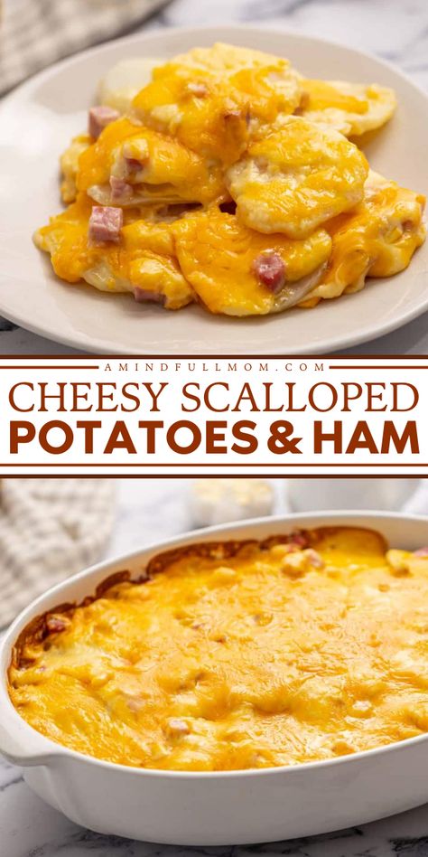 Check out this cheesy scalloped potato recipe and add it to your Thanksgiving side dish recipes! This easy potato casserole with ham, layers of potatoes, and a homemade sharp cheddar cheese sauce. Don't miss it! Cheesy Scalloped Potatoes And Ham, Ham And Scalloped Potatoes, Cubed Ham, Easy Cheesy Scalloped Potatoes, Thanksgiving Recipes Side Dishes Easy, Potatoes And Ham, Christmas Side Dish Recipes, Cheesy Scalloped Potatoes, Scalloped Potatoes Easy