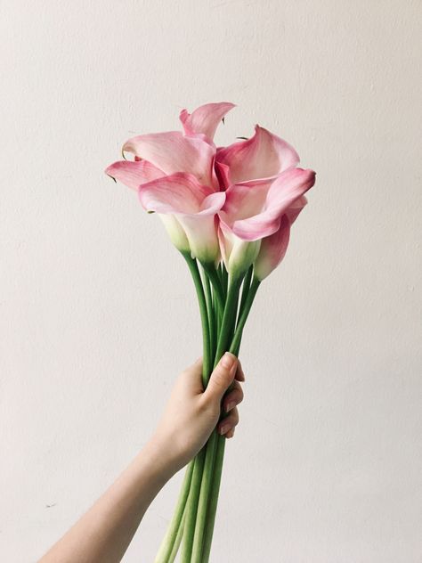 Pink Calla Lily Boutonniere, Cala Lillies Bride Bouquet, Pink Calla Lily Bouquet, Calla Lillies Centerpieces, Calla Lillies Wedding, Tulip Bridal Bouquet, Calla Lily Boutonniere, Flower Shop Interiors, Pink Calla Lilies